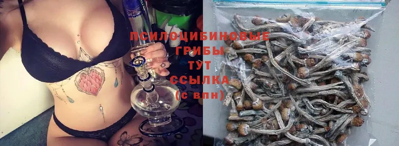 сколько стоит  Новомосковск  shop какой сайт  Галлюциногенные грибы Magic Shrooms 